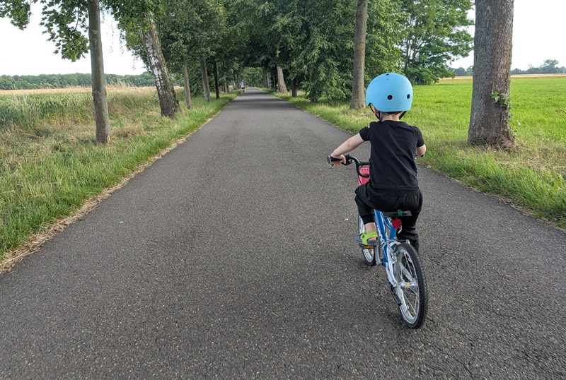 Ein Kind mit blauem Fahrradhelm, von hinten gesehen, fährt auf einem baumgesäumten Radweg zwischen Feldern.